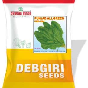 Palak Seed Punjab All Green