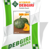 Pumpkin Seed Ambuja