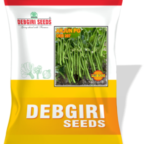 Beans Seed Arjun PG