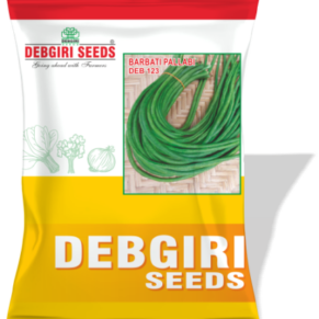 Barbati Seed (YLB) Pallavi