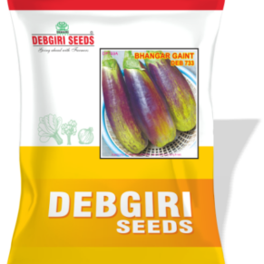 Brinjal Seed Bhangar Gaint