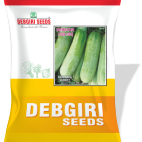 Cucumber Seed Debstar (Selection)