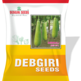 Bottle Gourd Seed (Semi Long) Debdali