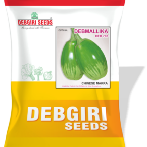 Brinjal Seed (Chinese Makra) Debmallika