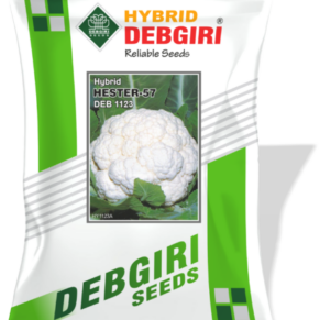 Cauliflower Seed Hester 57