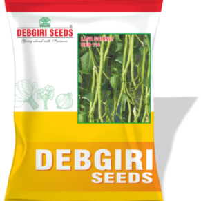 Barbati Seed ( YLB) Sohini-7