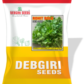 Coriander Leaf Seed Rohit (Imp. Bold 30)