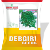Bitter Groud Seed (Uccha) SPL Bolder PG