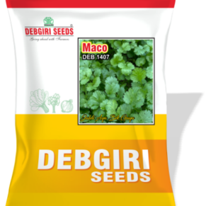 Coriander Leaf Seed Maco (Whole 28)